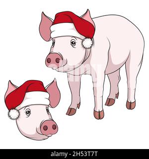 Color illustration of a pig in a Christmas hat. Isolated vector objects on white background. Stock Vector