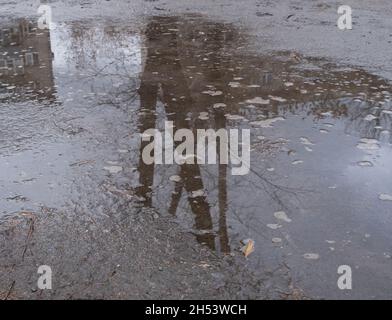 reflection of a tree and a building in an autumn puddle. cold autumn. blurred road Stock Photo