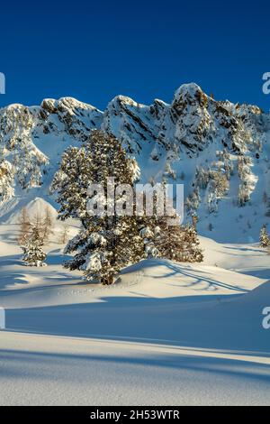 FRANCE. ALPES-MARITIMES (06) ISOLA 2000 SKI RESORT Stock Photo