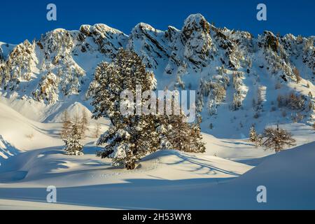 FRANCE. ALPES-MARITIMES (06) ISOLA 2000 SKI RESORT Stock Photo