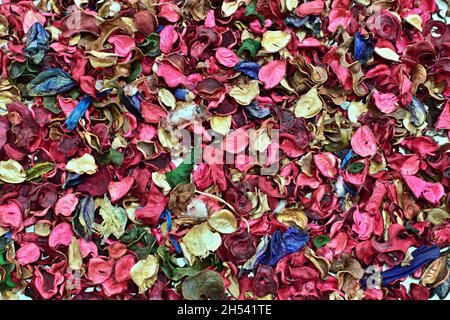 Mess of petals of different flowers and plants for decoration Stock Photo