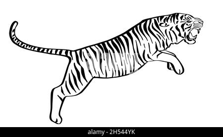 Jumping tiger hand drawn black and white sketch. Angry predator line art mascot. Stock Vector