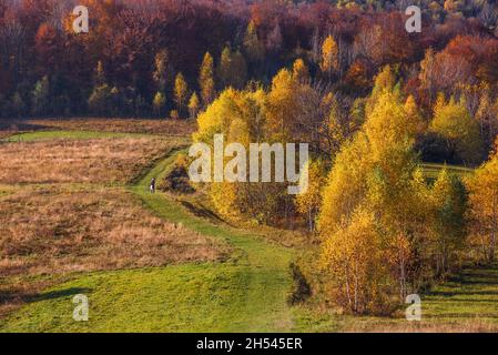 View of hills of Water Dividing ridge covered in red, orange and yellow ...
