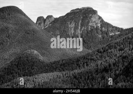 The temperate rainforest and Coast Mountain peaks of Golden Ears Provincial Park, near Maple Ridge, British Columbia, Canada. Stock Photo