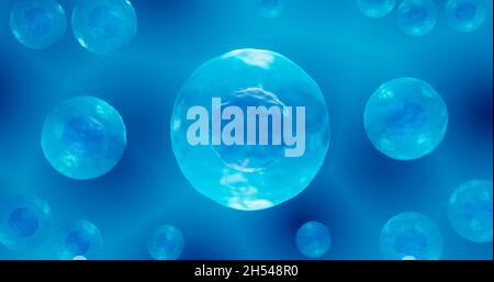 Stem cells, illustration Stock Photo