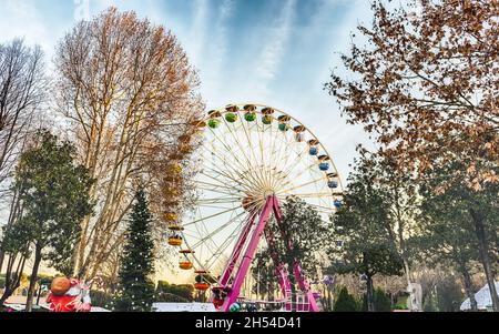 Ferris Wheel surrounded by trees inside an amusement park Stock Photo