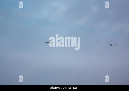 G-CLPV Alexander Schleicher ASK-21 2-seater glider towed for release,   landing at Upavon Airfield, home of the British Army Gliding Club (WYVERN) Stock Photo