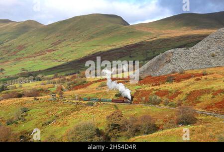 Welsh Pony approaches Rhyd Ddu on the Welsh Highland Railway. Stock Photo