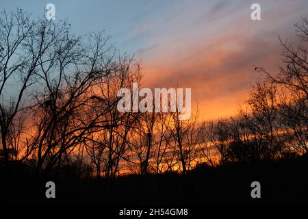 A Pretty Orange Sunset in Late Autumn Stock Photo