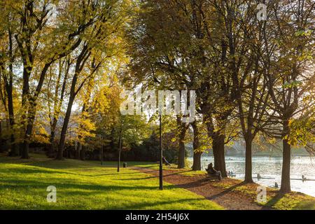 Autumn with yellow foliage along the Po river in Turin, Piedmont, Italy Stock Photo