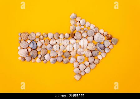 Seashells in shape of arrow. Summer concept. Stock Photo