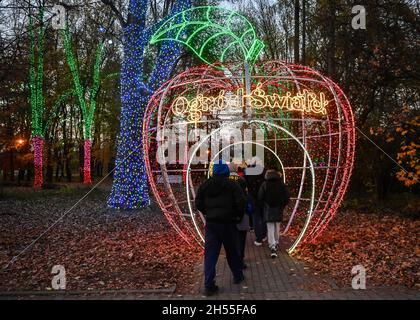 Illuminated animations, at the garden of lights exhibition opened at Aleja  Pokoju with the theme of a fairy tale called The Queen's Snow by the Grimm  brothers. (Photo by Alex Bona /