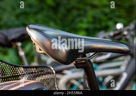 Close-up of bicycle saddle on an attached bicycle Stock Photo