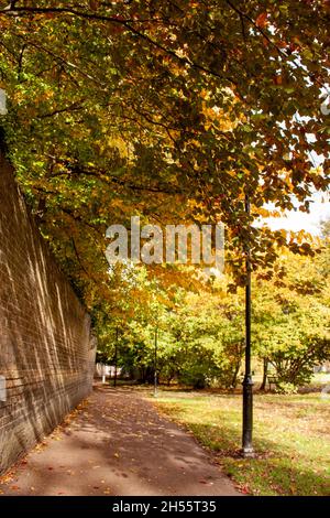 UK, Cambridgeshire - Christ's Pieces Cambridge in the Autumn Stock Photo