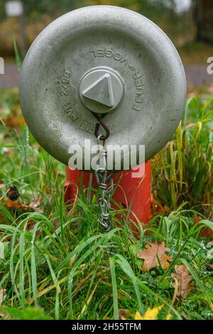 red water hydant on a meadow in the park Stock Photo