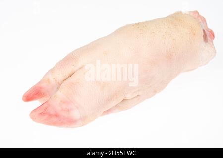 Two raw pork legs for cooking isolated on white background. Studio Photo. Stock Photo