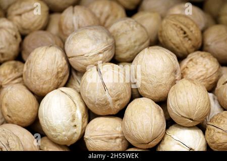 Walnuts heap for background. Dry nuts in shells on a market, protein food for brain health Stock Photo