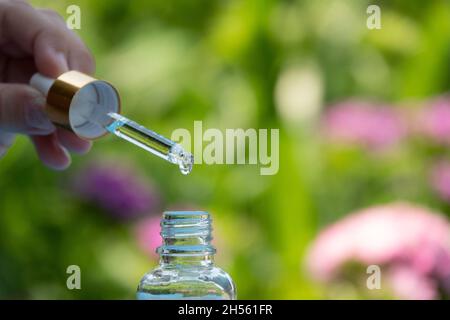 Essential oil dropping from leaf to the bottle. Essence liquid cosmetic. Perfume.Aromatherapy. Isolated on white. Stock Photo