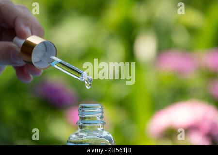 Essential oil dropping from leaf to the bottle. Essence liquid cosmetic. Perfume.Aromatherapy. Isolated on white. Stock Photo