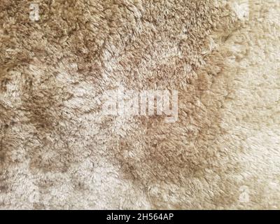 Gray gradient carpet texture closeup. Top view, full screen. Stock Photo