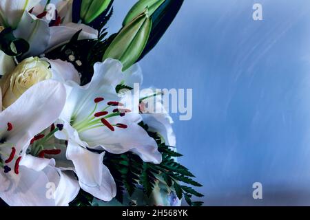 White lilies on a blue background with cream roses, bouquet. Postcard, background. Stock Photo