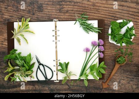 Preparation of fresh herbs for food seasoning with open recipe notebook. Local home grown produce, also used in herbal medicine. Stock Photo