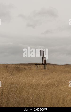an old transformer without wires is in the field. Stock Photo