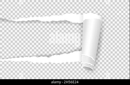 Torn paper with rolled edge, ripped notebook page sheet. Realistic rip out curled papers strip hole on transparent background vector template. Teared document with folded or curled piece Stock Vector