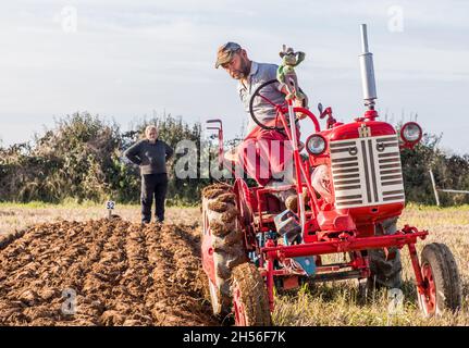 Ballyfeard, Cork, Ireland. 07th November, 2021. Moss Fleming watching his brother Trevor from Castlemartyr on his 1948 McCormack Farmall Cub taking part in the ploughing match at Ballyfeard, Co. Cork, Ireland. - Picture; David Creedon / Alamy Live News Stock Photo