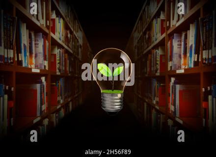 Fresh green leaves inside lightbulb with bookshelf in library background. Stock Photo