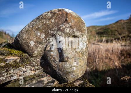 Artwork around Black Loch, Galloway Forest, Scotland Stock Photo