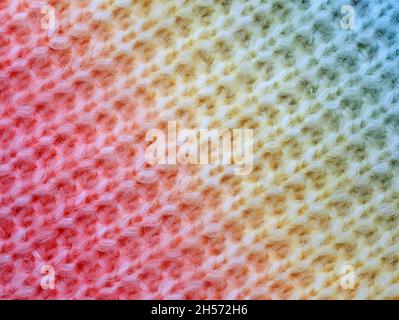 knitted cotton structure with a gradient from red to yellow to blue, close up of knitted cotton surface Stock Photo