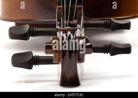 Violin curl and pegs close-up. Violin on a white background. Copy space Stock Photo
