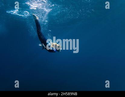 A  shot of freediver in the beautiful clear waters of the sea with sunlight Stock Photo