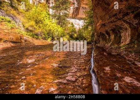 A water stream flowing through a narrow crack in the Subway gorge, Zion NP, USA Stock Photo