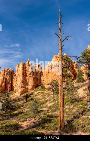 Scenic rocks from the Navajo Loop Trail leading through Bryce Canyon, USA Stock Photo