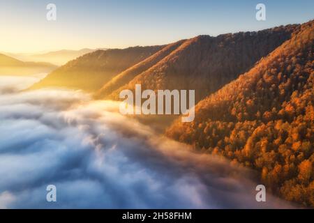 Mountains in low clouds at sunrise in autumn. Aerial view Stock Photo