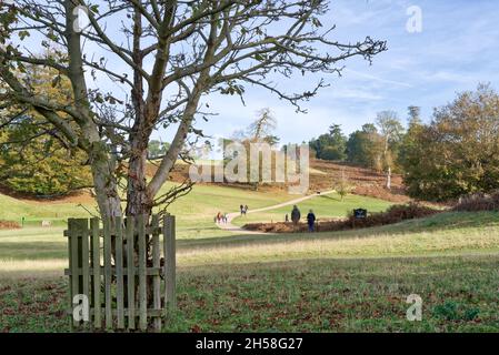 Sevenoaks Weald, Kent UK 7th November 2021. UK Weather: Autumnal sun rays and hazy sunshine beam on countryside park in Kent, grounds covered in autumnal and colourful leaves. Credit: Xiu Bao/Alamy Live News Stock Photo