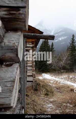 Moberly Homestead from the 19th Century, crumbling log cabin, trace of snow, overcast, mountain in distance Stock Photo