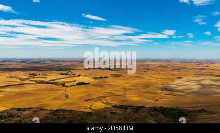 Golden rolling hills of the Palouse during summer in Washington, USA Stock Photo