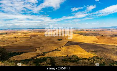 Golden rolling hills of the Palouse during summer in Washington, USA Stock Photo