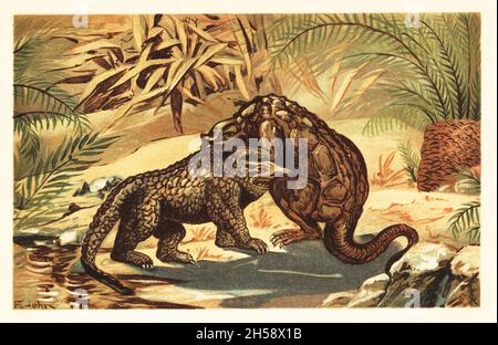 Battle between a Megalosaurus bucklandii and Iguanodon bernissartensis. Megalosaurus, genus of large meat-eating theropod dinosaurs of the Middle Jurassic. Iguanodon, genus of iguanodontian dinosaur of the late Jurassic to the early Cretaceous. Kampf zwischen Megalosaurus und Iguanodon. Colour printed illustration by F. John from Wilhelm Bolsche’s Tiere der Urwelt (Animals of the Prehistoric World), Reichardt Cocoa company, Hamburg, 1908. Stock Photo