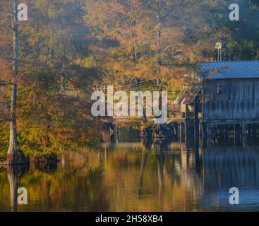 A Boat House among Bald Cypress Trees along the shoreline of Lake D''Arbonne. In Farmerville, Union Parish, Louisiana Stock Photo