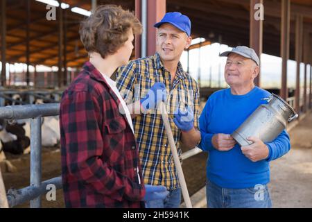 Positive elderly livestock farm owner talking to workers in cowshed Stock Photo
