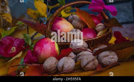 Close up macro shot of walnuts apples and leaves in a wooden basket decorated with magenta tie. Autumn natural scene with bunch of apples, leaves Stock Photo