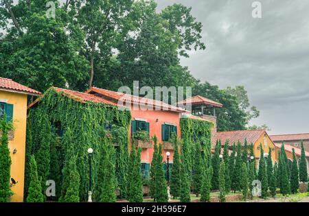 Europe style building covered with green ivy. Green creeping plant climbing on wall and window of tuscany house. Eco-friendly building decor with ivy. Stock Photo