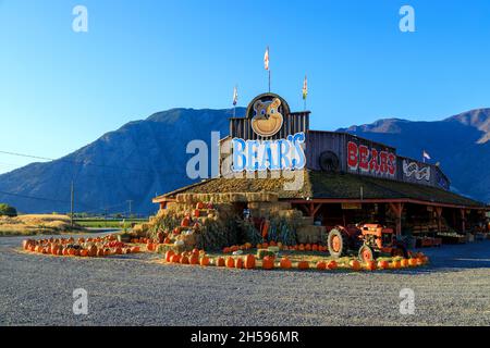 Keremeos, British Columbia, Canada - September 30, 2021: Bears fruit stand and farmers market display and arrangement of winter squash celebrating the Stock Photo
