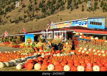 Keremeos, British Columbia, Canada - September 30, 2021: The Peach King fruit stand and farmers market display and arrangement of winter squash celebr Stock Photo