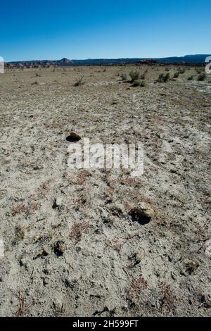 Severe overgrazing in Kodachrome Basin State Park, Utah Stock Photo