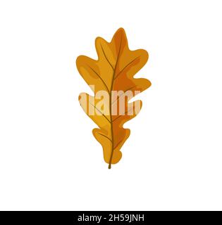 Autumn leaf fall. Colorful leaves. Oak Leaf. Detailed tree foliage vector November seasonal background. Autumn leaves border, elements, banner, vector Stock Vector